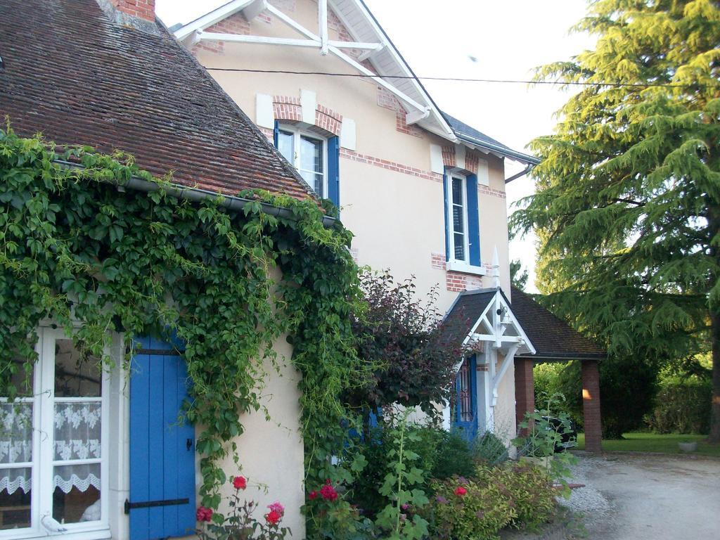 Loire, Chateaux, Et Vignes Onzain Exteriör bild